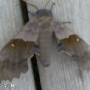 Meet your Posher, Ed